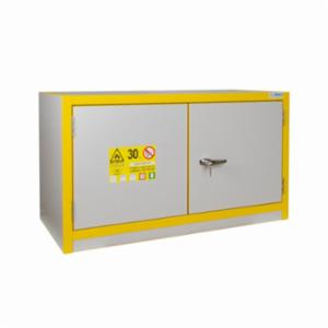 Ecosafe 30 min Fire resistance cabinet 30 L 3032E