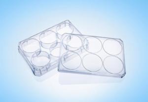 LabPRO CellPro Cell Culture Plate 6 Wells, Treated Surface, Gamma Sterile, 75pcs/carton LPCP2011