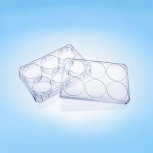 LabPRO CellPro Cell Culture Plate 6 Wells, Treated Surface, Gamma Sterile, 75pcs/carton LPCP2011