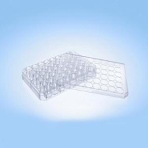 LabPRO CellPro Cell Culture Plate 48 Wells, Treated Surface, Gamma Sterile, 75pcs/carton LPCP2039