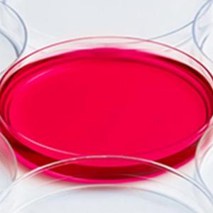 Labpro Petri Dishes, PS material. Dia.90mm x 15mm