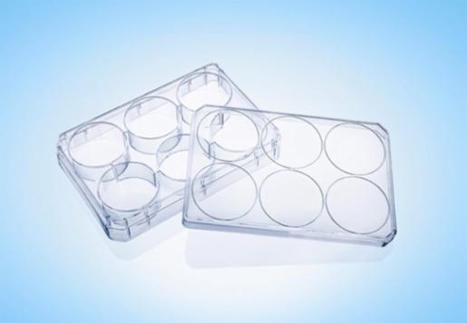 LabPRO CellPro Cell Culture Plate 6 Wells, Treated Surface, Gamma Sterile, 75pcs/carton LPCP2011