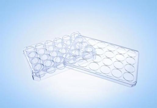 LabPRO CellPro Cell Culture Plate 24 Wells, Treated Surface, Gamma Sterile, 75pcs/carton LPCP2038