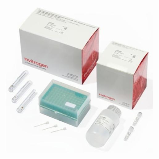 Thermo Fisher, Invitrogen, Neon Transfection System 10 µL Kit, TRANSFECTION KIT, MPK1096