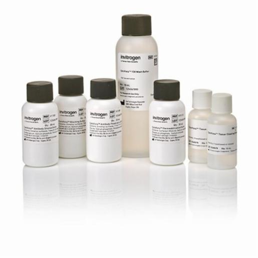 Thermo Fisher, Invitrogen, CytoVista Tissue Clearing/Staining Kit, 1 KIT, V11324